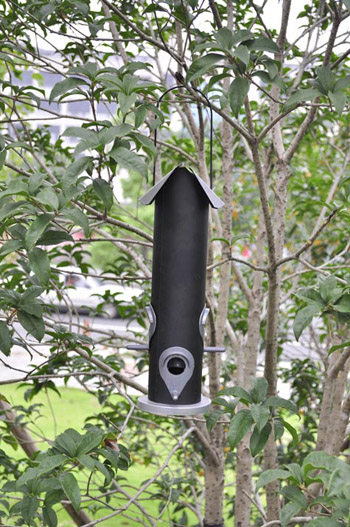 XFIS-07022BK