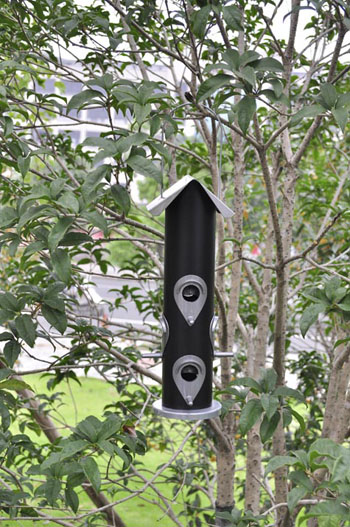 XFIS-07032BK