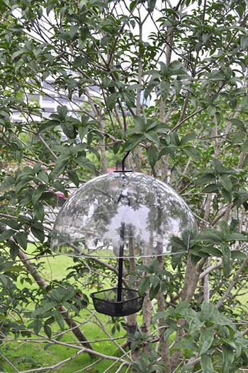 XFAC-12006